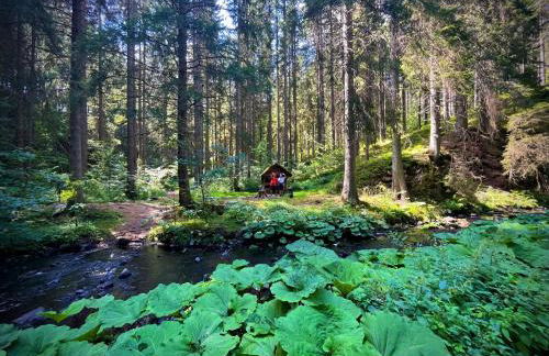 Ferienhaus Robin - Foto 10