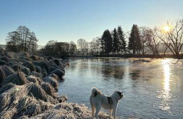 Schönes Apartment / Ferienwohnung am Regen - Foto 21