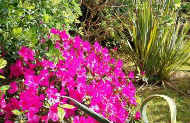 Sítio da Assumada - Foto 54