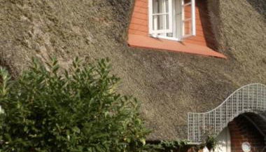 Marschküken - Foto 2