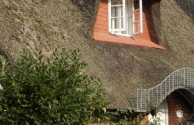 Marschküken - Foto 2