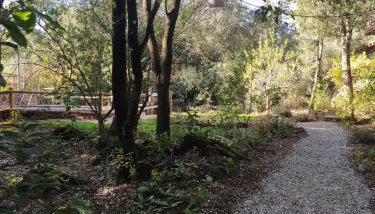 CASA LA INDIANA - Foto 3, Garden