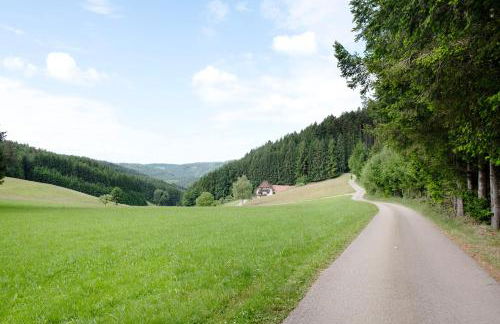 Ferienwohnung Ringwald - Foto 33