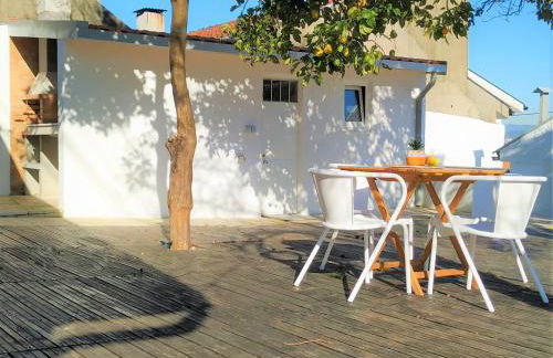 Boavista 19 - Photo 30