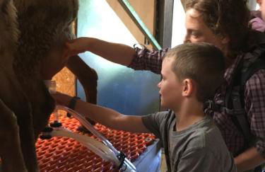 Fat Sheep Farm & Cabins - Foto 31