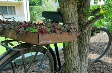 Appartementhaus Gaby - Foto 25