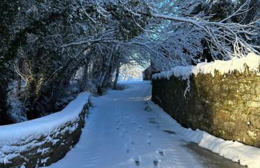 O'Hares Farmhouse - Foto 17