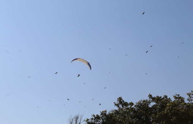 La Condesa de Barranco - Photo 73