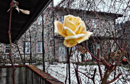 Agriturismo Paneolio - Foto 47