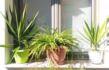 Small home of the Square Σπιτάκι της Πλατείας - Foto 7