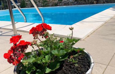 Amazing,full privacy holiday home with swimming pool l & hot tub - Foto 39