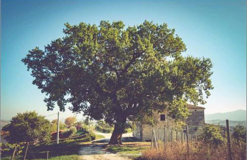 Agriturismo Colle Tripio - Foto 6