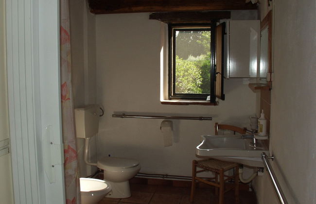 Codavolpe Giardino di Tea - Foto 21