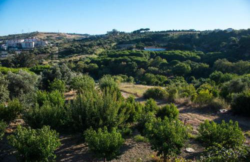 Quinta Montebelo - Foto 1