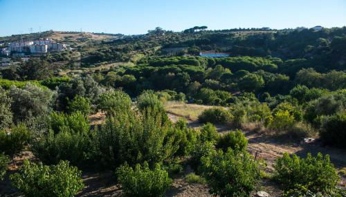 Quinta Montebelo - Foto 1