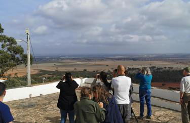 4Bs - Birds & Bicycles - Foto 24