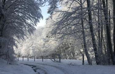 Naturnah in Hellenthal - Photo 26