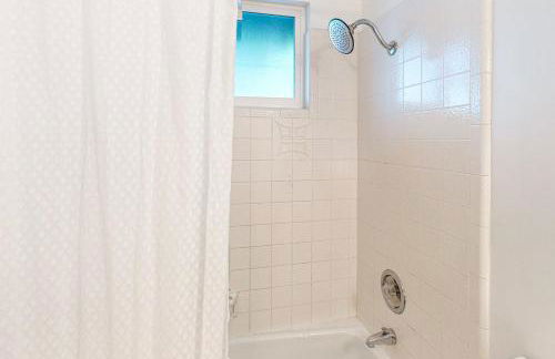 Saint Bernard Beauty - Foto 16