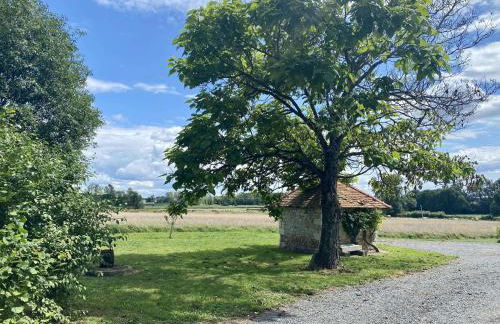 Le Plessis - Photo 29