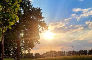 Stajnia Tarnowo Pałuckie - Foto 21