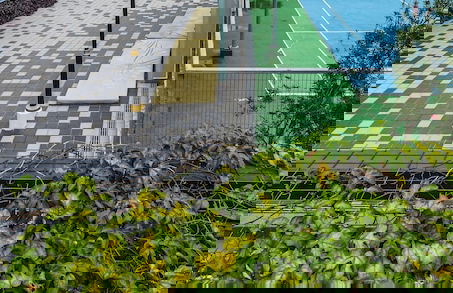 Geo38 Premier Suites Genting Highlands - Foto 66