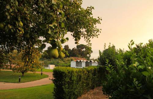 ARTS IN Country House - Foto 7