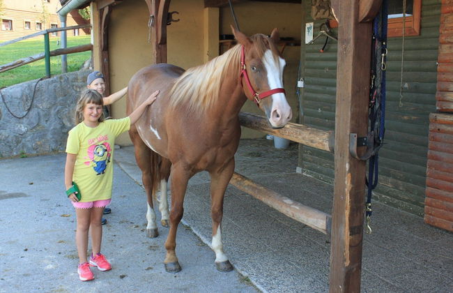 Ranch Marina - Photo 12