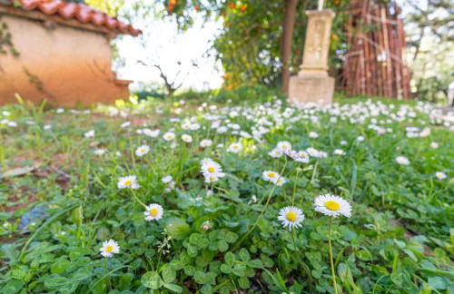 Villa Agostina - Photo 56