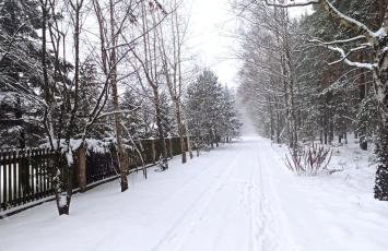 Willa Siemianówka - Sauna, Jacuzzi - Foto 38