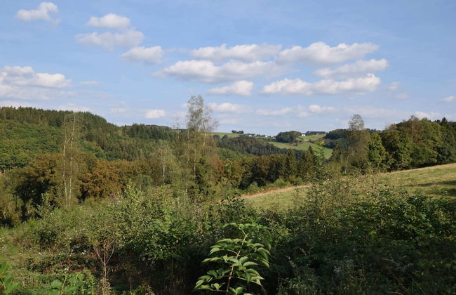 Tranquil Holiday Home in Houffalize With Barbecue - Photo 22