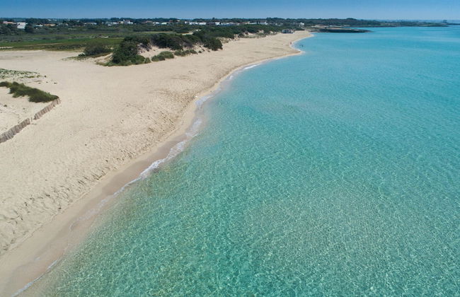 Tenuta Fioravante - Foto 33