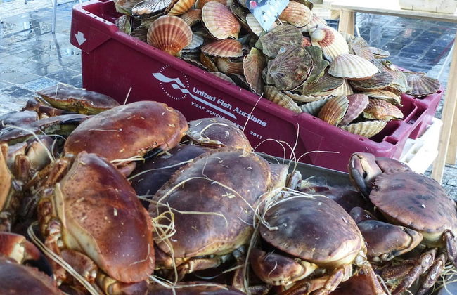 Holiday Home With Shared Pool, Erquy-formerly TUI Ferienhaus - Foto 20