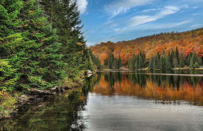 Chalet supérieur Le Mont-calm - Foto 39