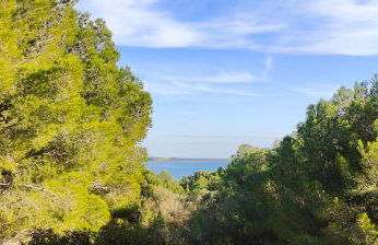 Mas de Caussagues, la Presqu'ile - Foto 29