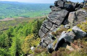 House - Alton Towers,Peak District,Wildlife Park - Photo 11