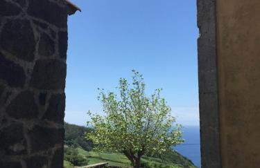 Serreta Island Home - Photo 38