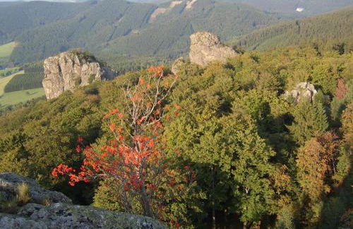 Ferienhaus Haus am Medebach - Foto 36