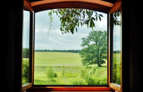 "Dolina szczęścia" Kartkowo - Foto 14