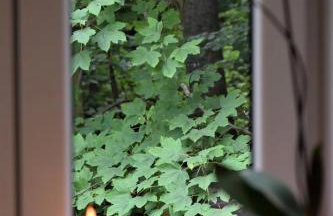 Apartament w zabytkowym budynku - Foto 7