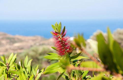 Thalassa Villa - Photo 61