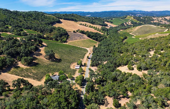 Luxury Wine Country Haven + Vineyard Views Near Top Wineries Adelaida Farmhouse - Foto 52