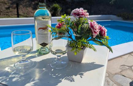 Villa Liliana Your Private Oasis with Pool - Photo 56