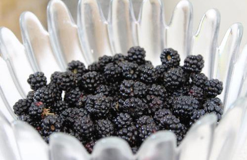 Apartments Spiros Pelion - Foto 41