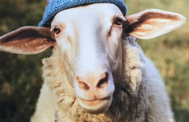 James Place @ Bike Park Wales and The Brecon Beacons - Foto 49