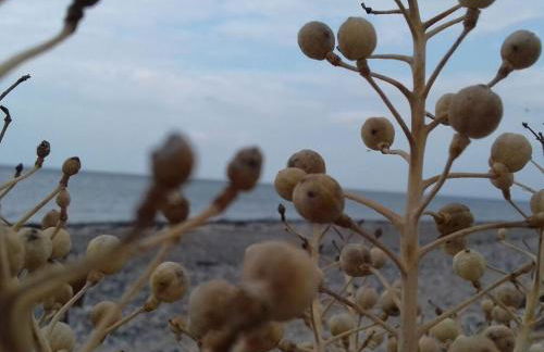 1 in the Maassen Country House - Foto 45