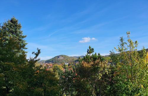Apartments Villa-Ratskopf Wernigerode - Photo 105
