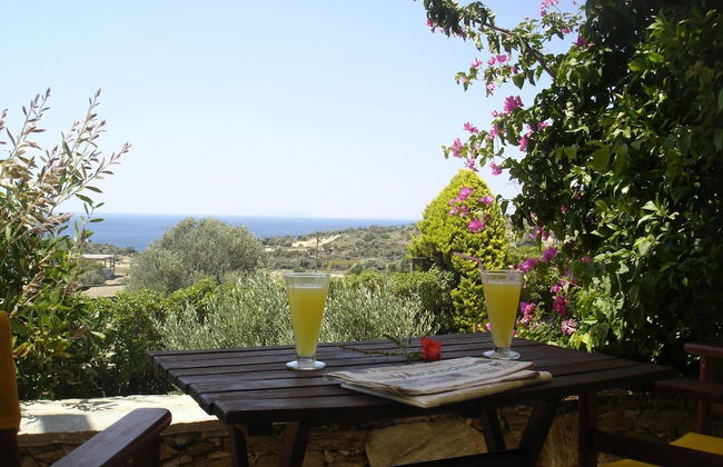 Ktima Nikola - Photo 31