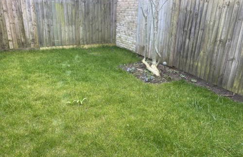 Charming 3 bedroom flint cottage - Foto 20