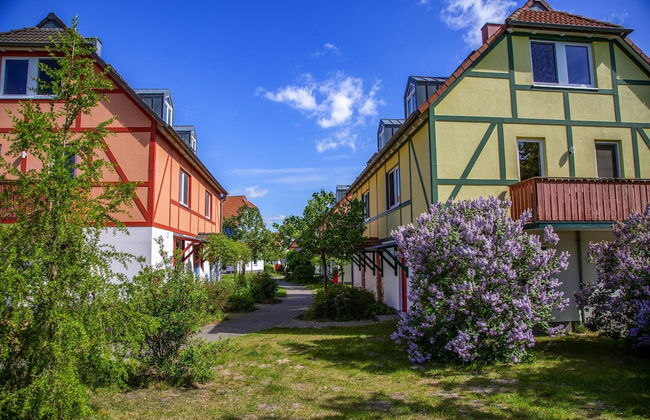 1 bedroom Apartment in Göhren-Lebbin with swimming pool and garden - Photo 37