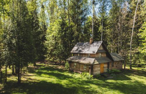 Chatka w lesie - Foto 15